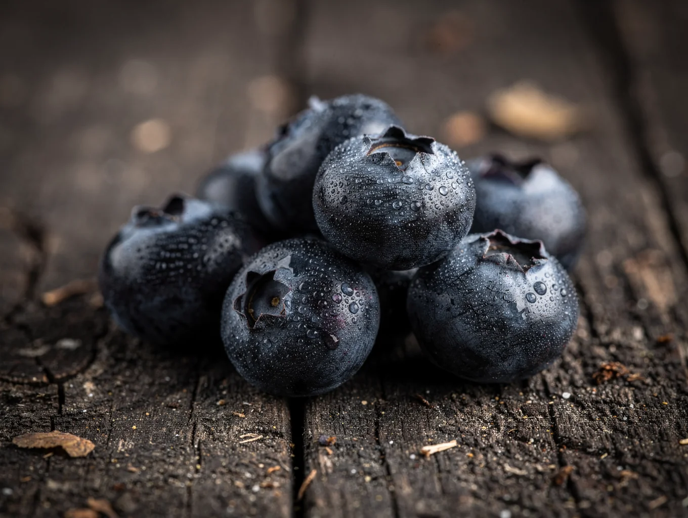 Northern Duke Blueberries